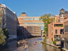 Eşek Köpek Kedi Horoz Heykeli Hangi Ülkede