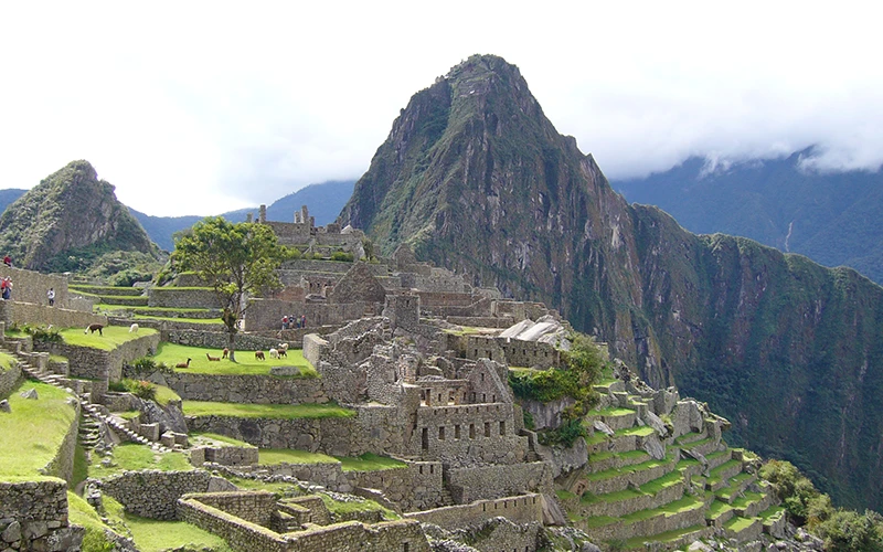 peru machu pichu