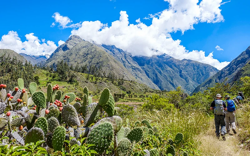 Machu Picchu ulaşım