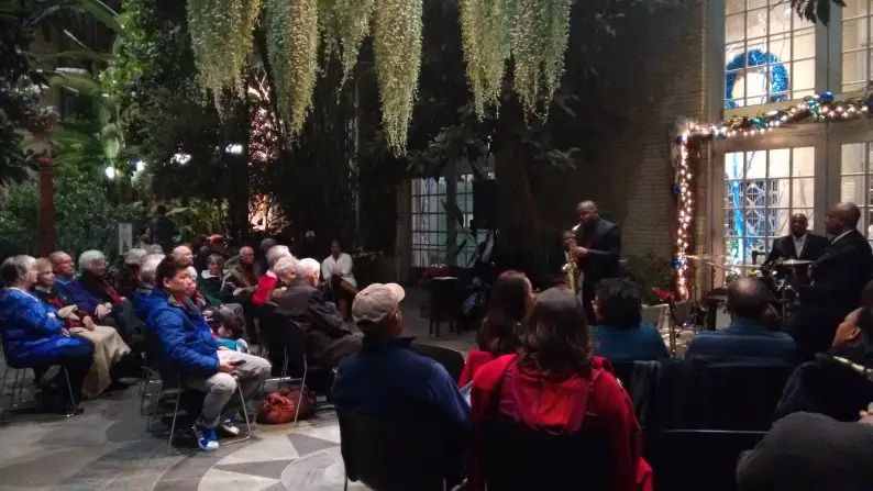 Botanik'te jazz