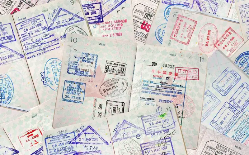 Pasaport Harclari 2021 Turna Blog