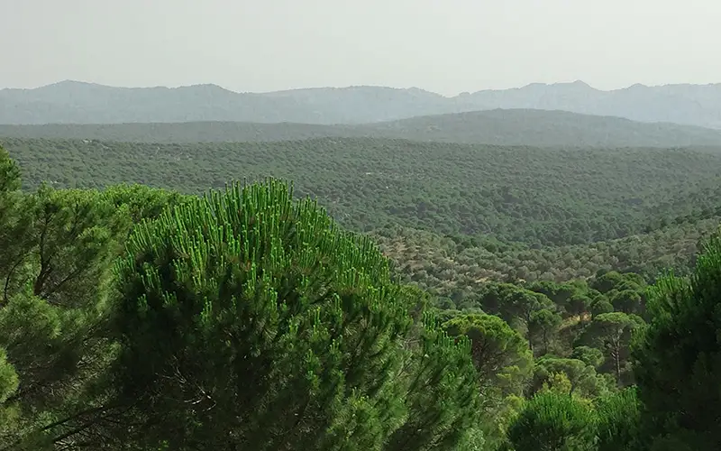Kozak Yaylası