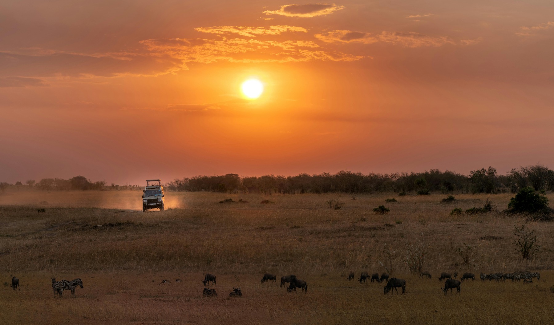 Sunset Wildlife Photography Safari