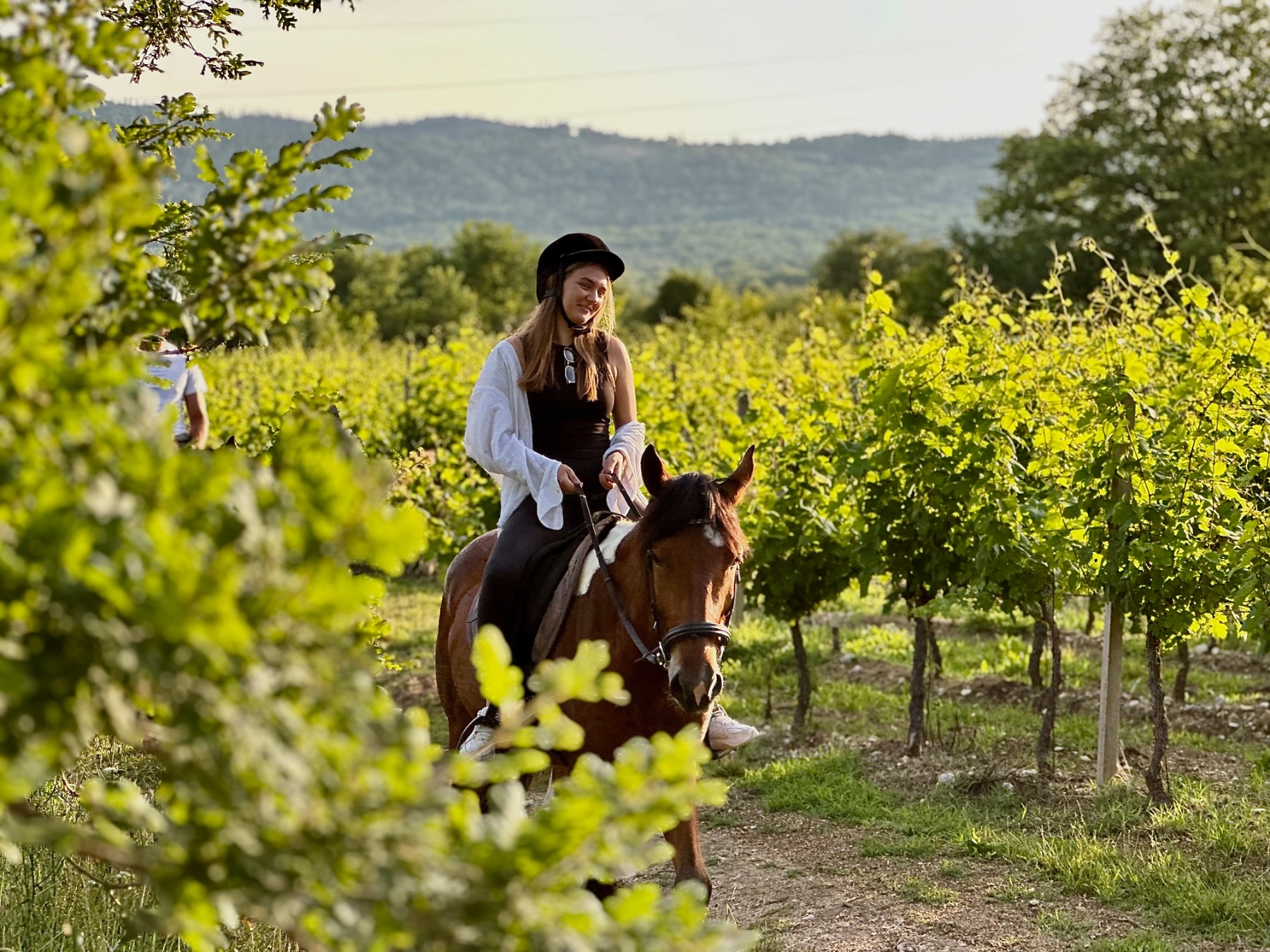 Horseback Riding Through Konavle Field