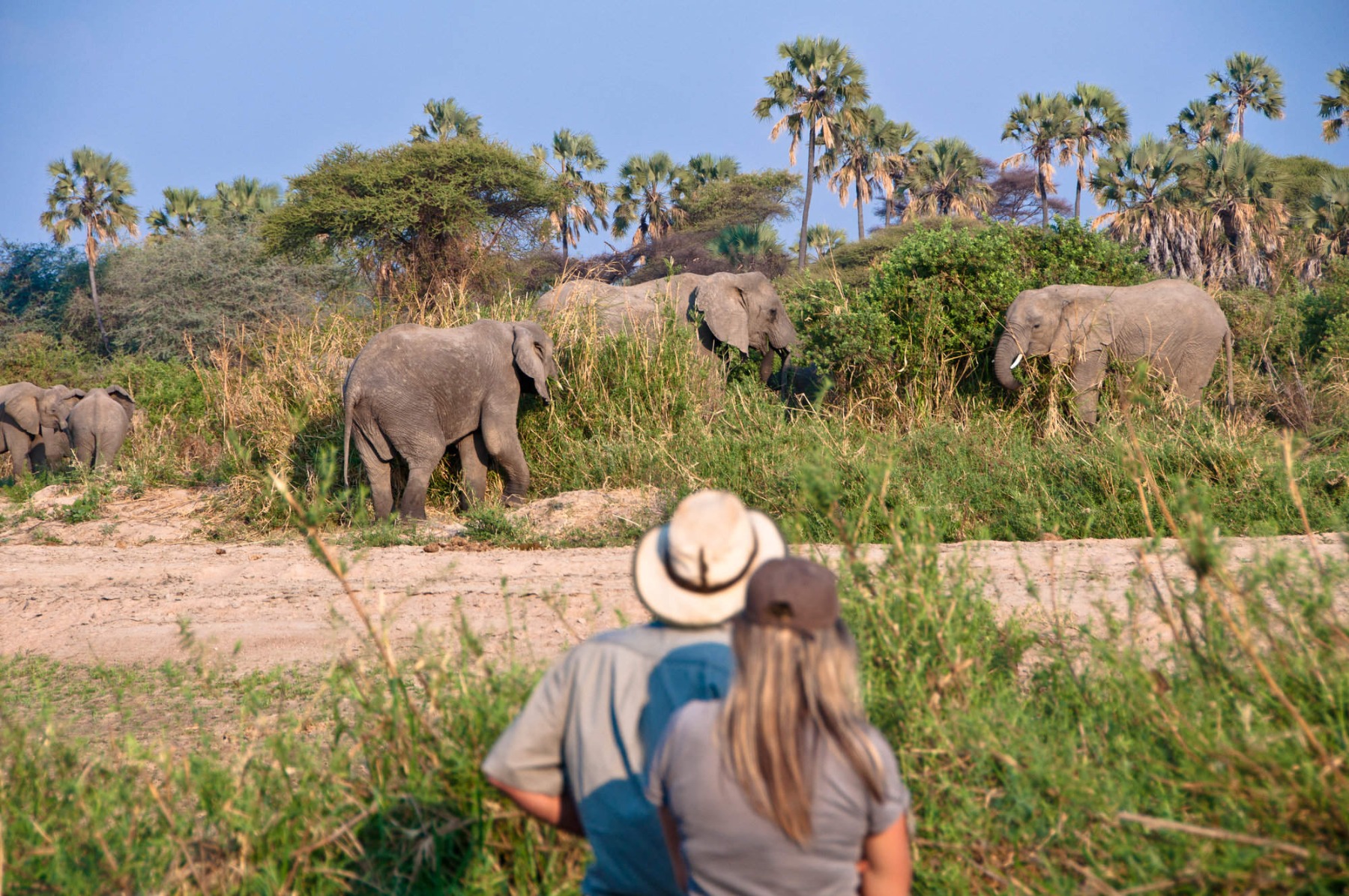 Bush Walking Safari with Traditional Tracking Workshop