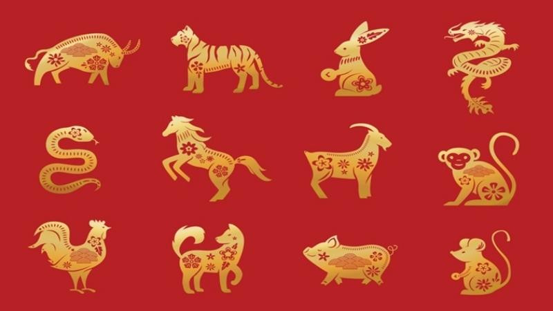 Cách xem tử vi theo ngày sinh chính xác