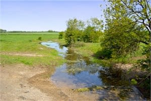 A peaceful hike through meadows from near Kemble to the source of the River Thames.
