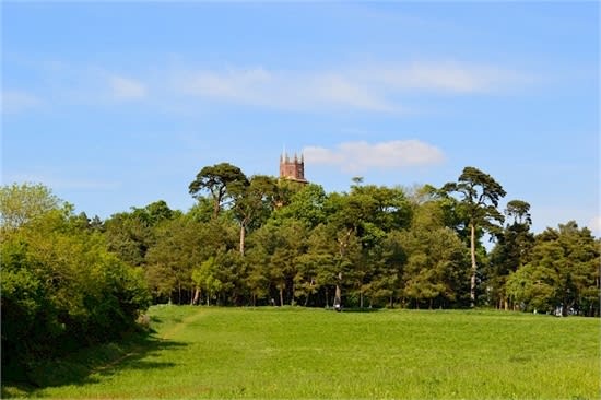 Folly Tower from a distance