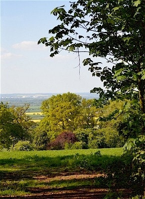 View from Folly Hill