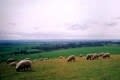 Little Wittenham