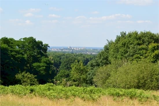 The castle seen from Deer Park