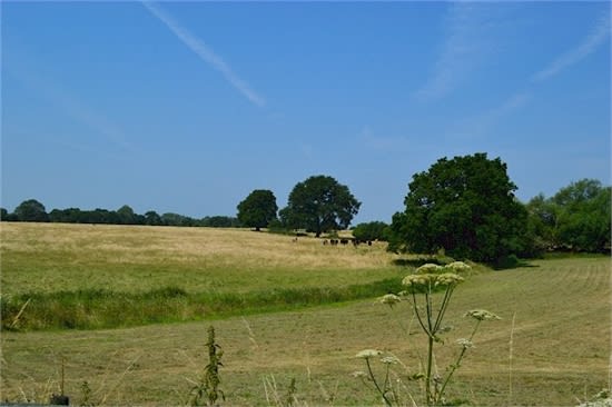 the view from one of the walks