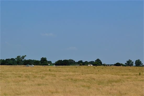 the excavation site from the distance