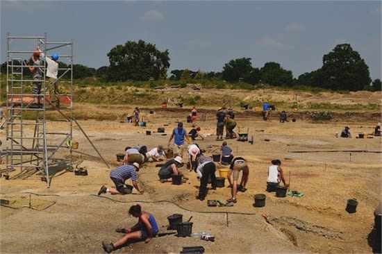 the excavation site