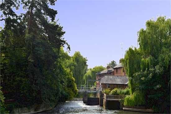 view from a distance