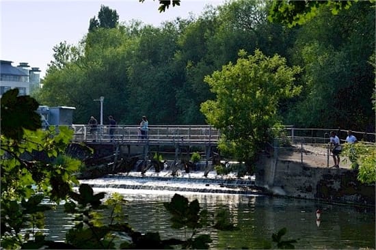 bridge across the weir