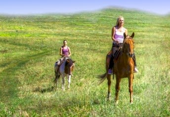 Great equestrian fun for all levels of experience.