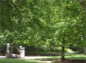 <p>A popular destination known for its natural beauty and great old beeches up to several hundred [...]