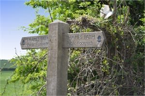 The popular trail offers great views of the river and can mostly be walked or cycled.
