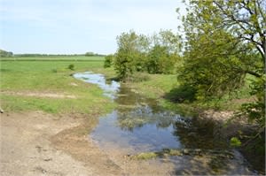 A peaceful hike through meadows from near Kemble to the source of the river.