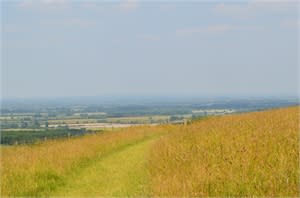 view of the beatiful Thames Valley