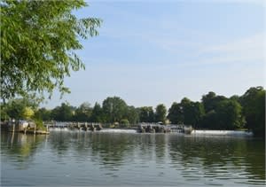 A quiet lock in rural Berkshire, near Purley-on-Thames.