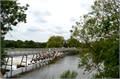 the weir