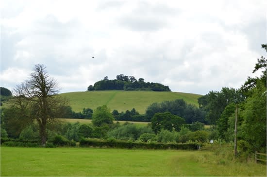 view of Wittenham Clumps