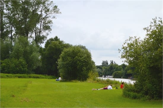 relaxing in the meadows
