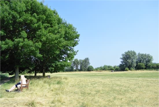 plenty of space for games