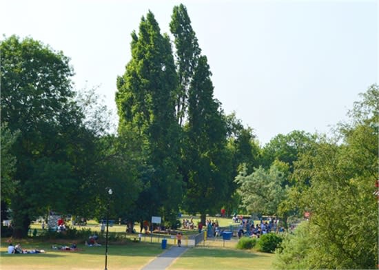 fun by the River Thames