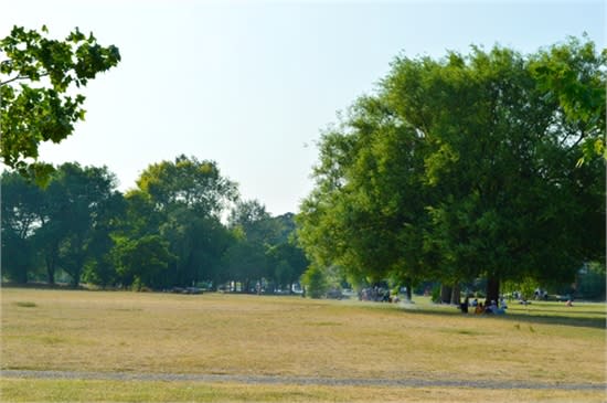 plenty of space for picnics