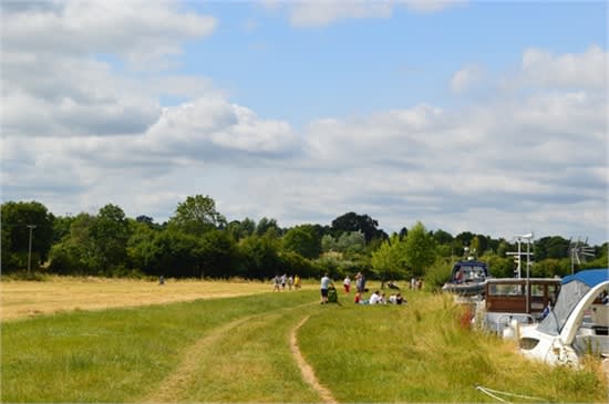 beyond Bell Rope Meadow