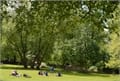 Runnymede