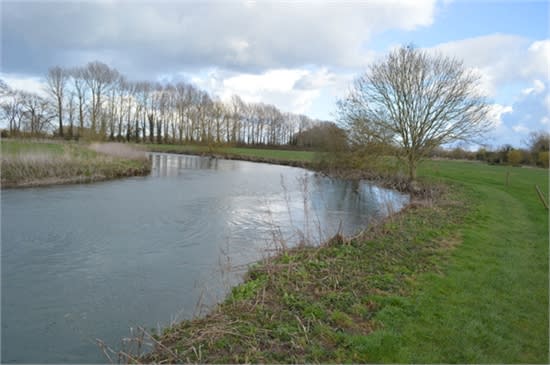 the young River Thames
