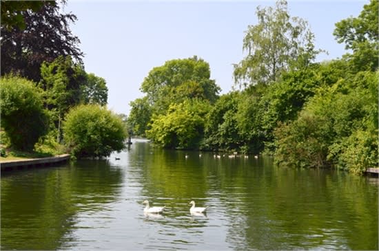 view from the weir