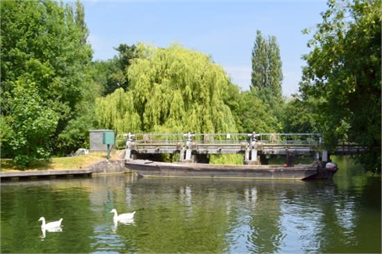 rear view of the weir