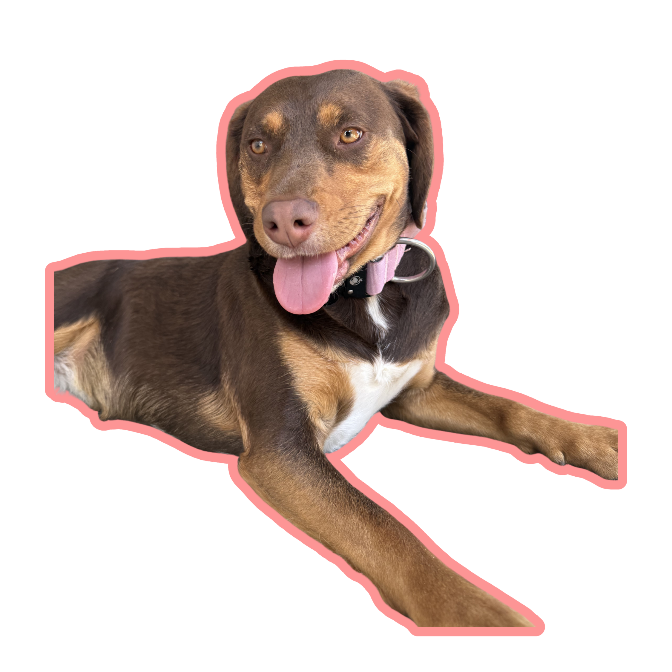 Georgia