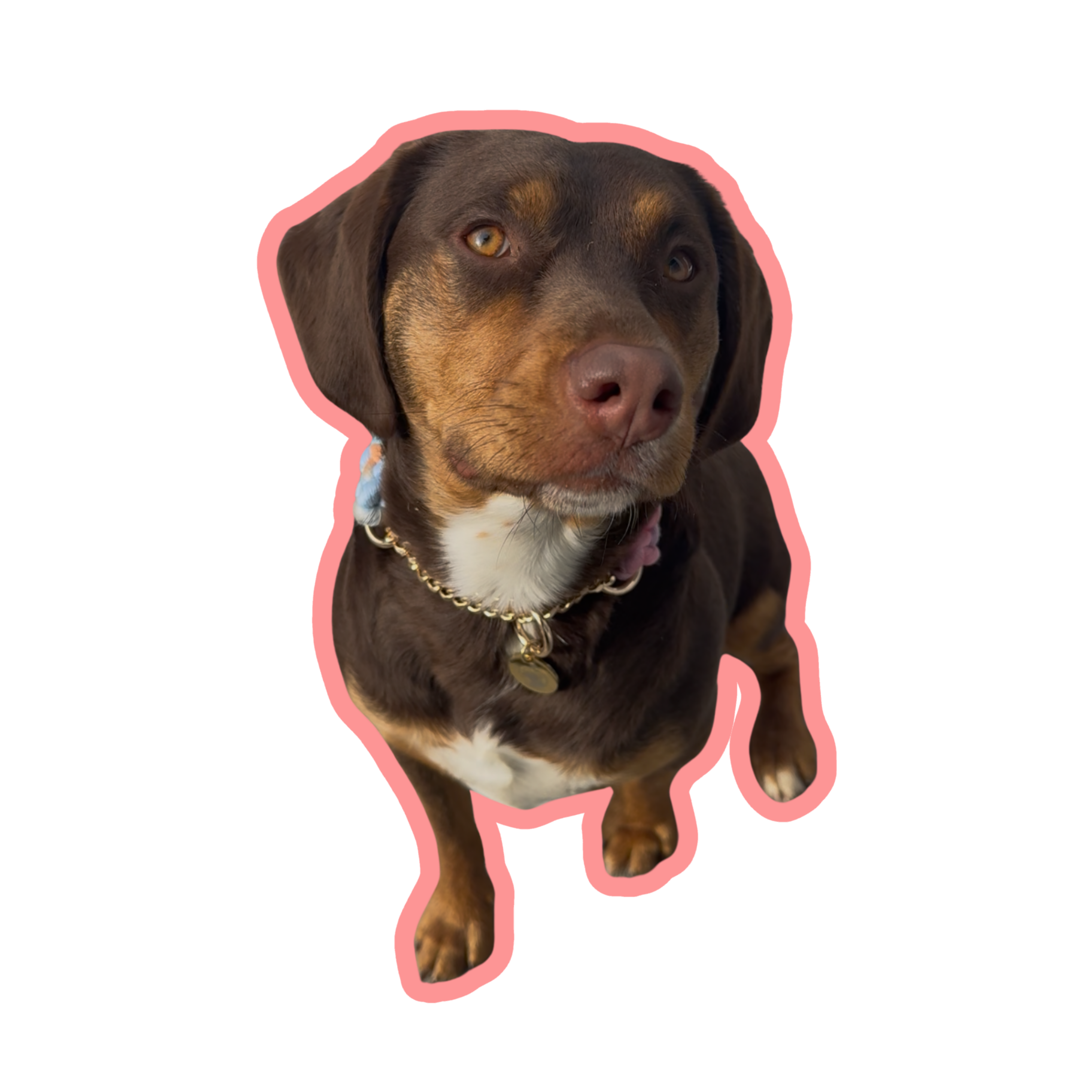 Georgia