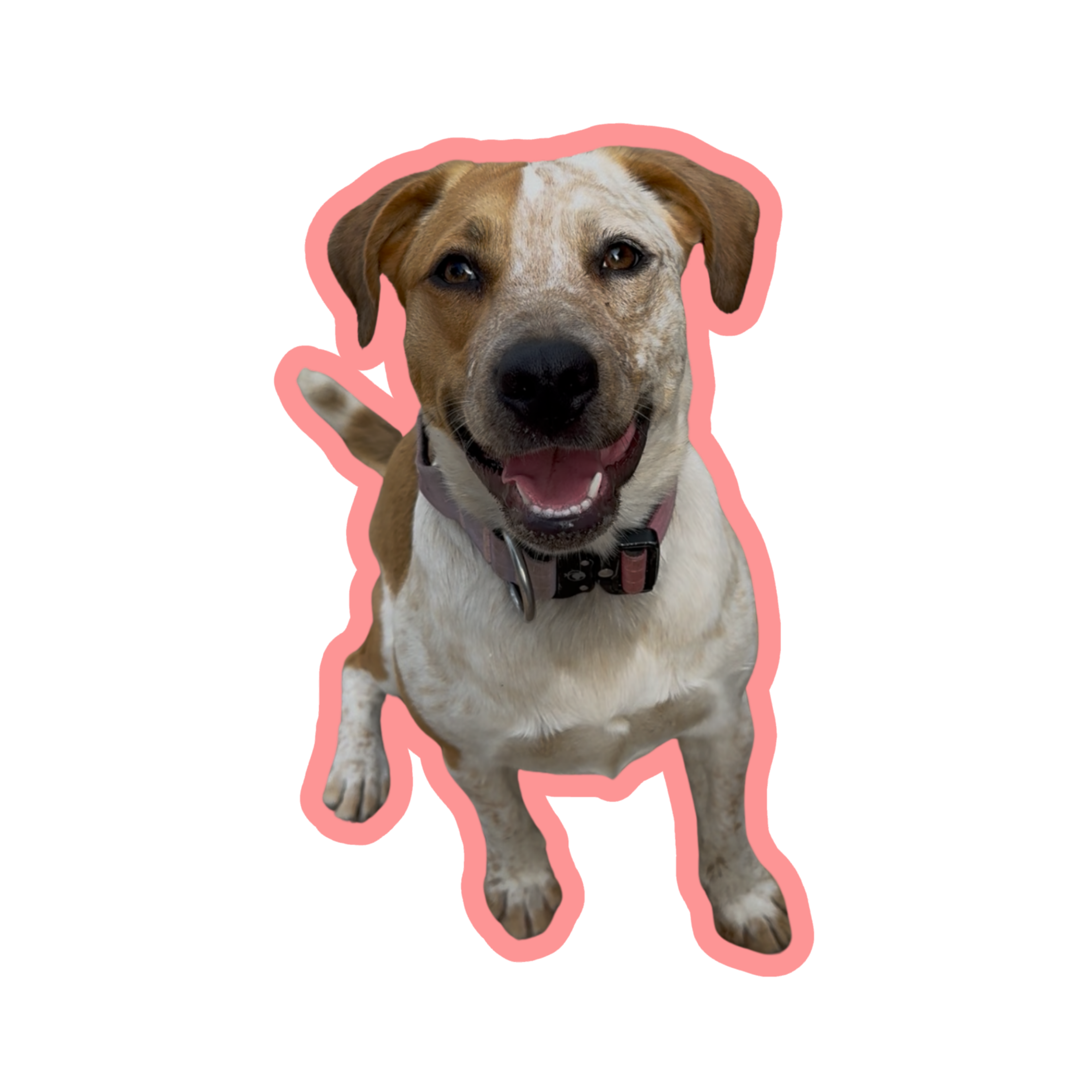 Peach