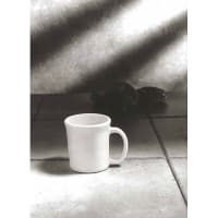 Diversified Ceramics DC142 Ultra White 10 oz. Coffee Mug - 24 / CS