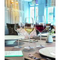 Sublym White Wine Glass 25 cl, 6-pack - Chef&Sommelier @ RoyalDesign