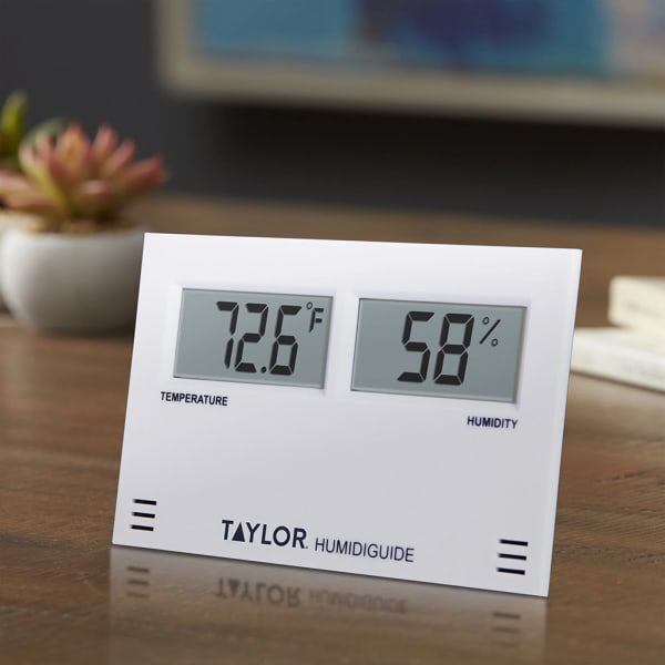 Taylor® Digital Thermometer with LED Readout