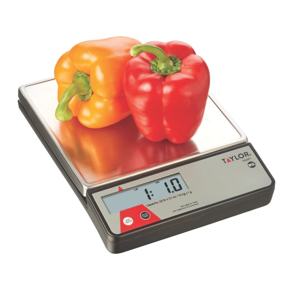 Taylor USA  Glass Electronic Scale with Red LCD Digits - Glass Electronic  Scales - Weight Management