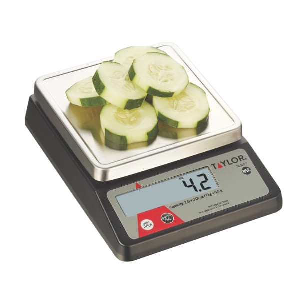 Taylor USA  Stainless Steel Electronic Scale - Electronic Scales - Weight  Management