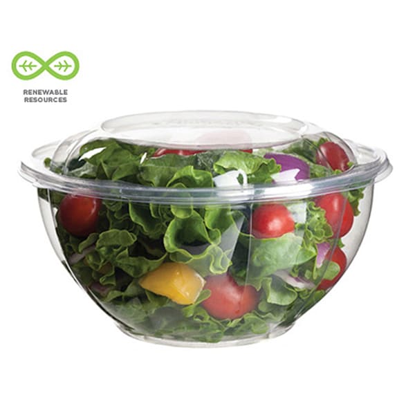 32oz Crystal Clear Plastic Disposable Salad Bowls with Lids To-Go