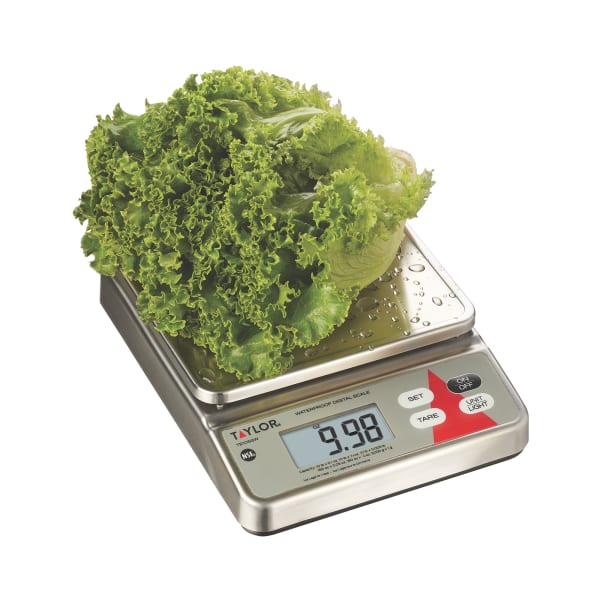 Taylor TE10SSW Electronic Portion Control Scale w/ LCD Digital Display, 10 lb, Stainless Steel