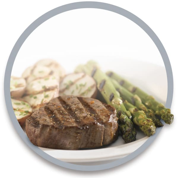 Hamilton Beach 25331 Steak Lover s Indoor Grill Wasserstrom