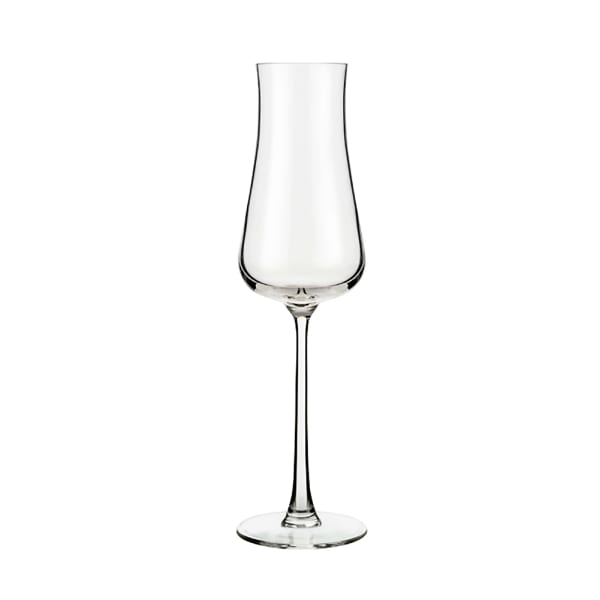 Libbey 1009305 Virtuoso 8 Ounce Champagne Glass - 12 / CS