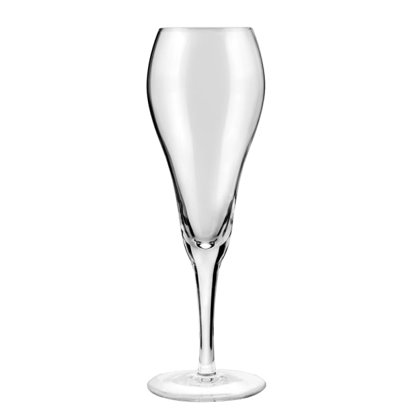 Tulip Champagne Flute-9 oz